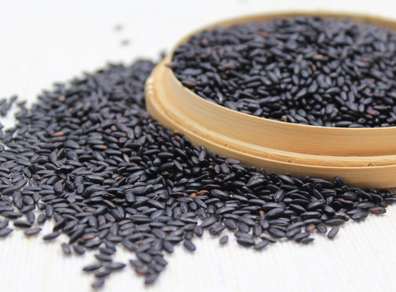 Black rice Extract 