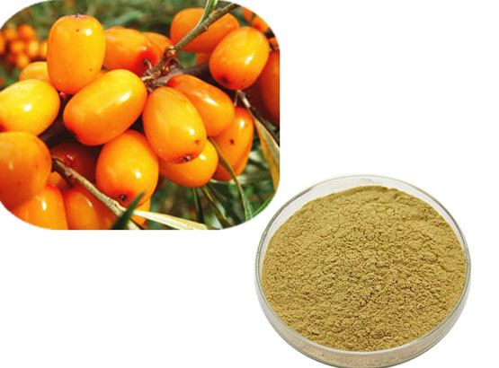 Sea-Buckthorn Fruit Powder
