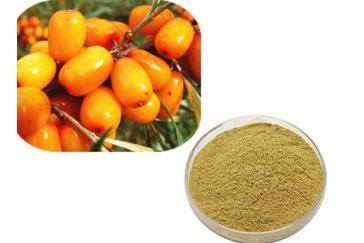 Sea-Buckthorn Fruit Powder