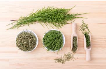 Horsetail extract