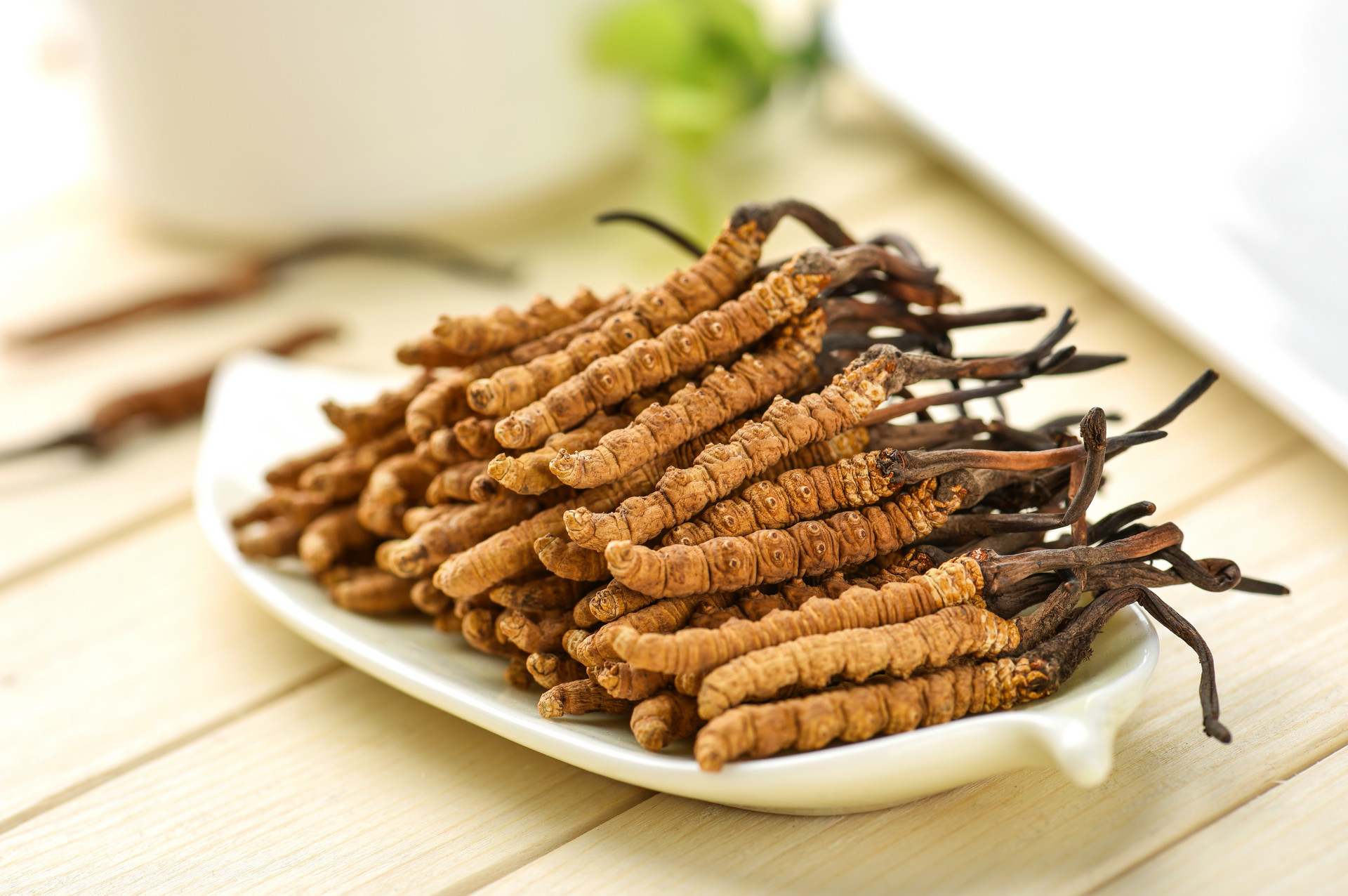 Cordyceps Extract