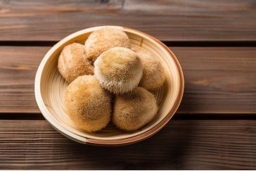 Lion’s Mane Extract 